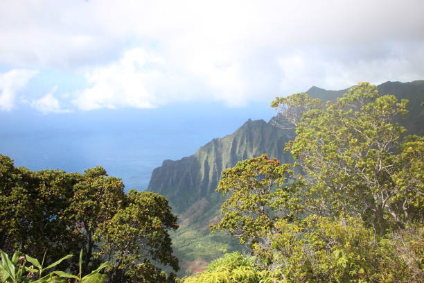 istock Kalalau lookout - Na pali coast 1046561190