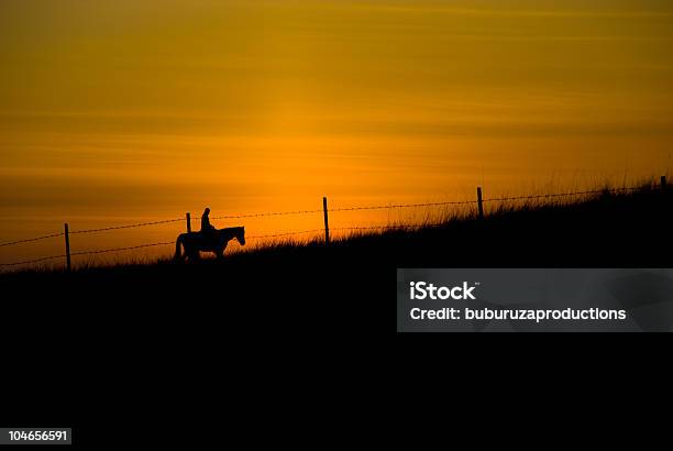 Foto de Cavalo Cercas e mais fotos de stock de Cerca - Cerca, Rancho, Silhueta