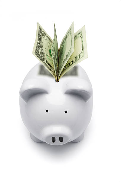istock Piggy bank and US dollars 104656615