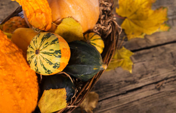 istock Pumpkin crop autumn yellow composition on wood 1046567654