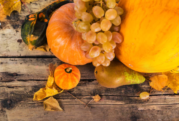 istock Pumpkin crop autumn yellow composition on wood 1046569890
