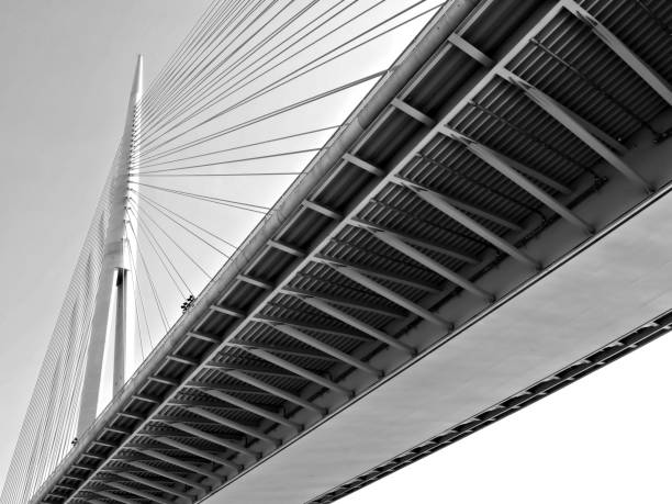 istock Modern bridge one pylon Belgrade, Serbia 1046571146