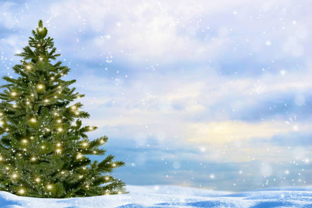 istock christmas tree in empty snowy landscape 1046577486