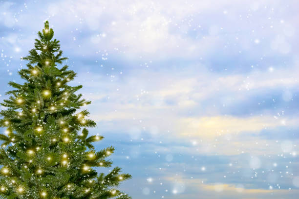 istock christmas tree on snowy sky background 1046577776