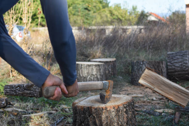 istock Lumberjack chopping wood for winter 1046581438