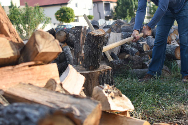 istock Lumberjack chopping wood for winter 1046581870