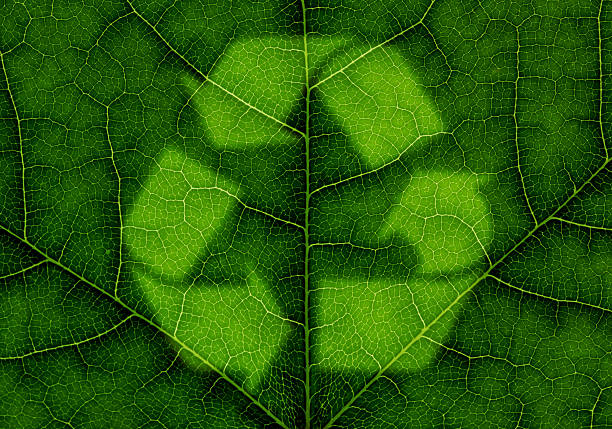 Recycle symbol over green leaf texture stock photo