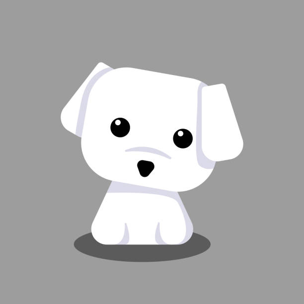 Cute Maltese White Puppy Cartoon Vector, for design, banner, logo Cute Maltese White Puppy Cartoon Vector, for design, banner, logo maltese dog stock illustrations