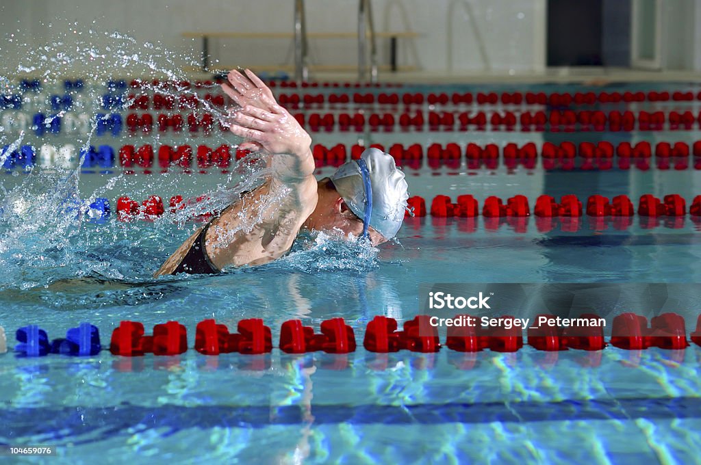 Delfinschwimmen - Lizenzfrei Schwimmen Stock-Foto