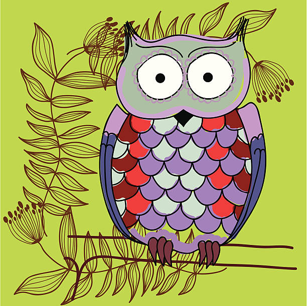 owl vector art illustration