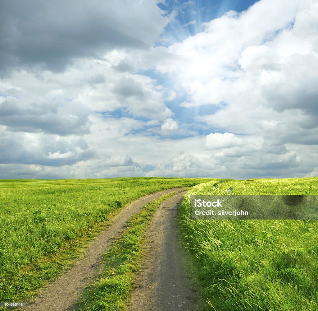 Summer landscape  Agricultural Field Stock Photo