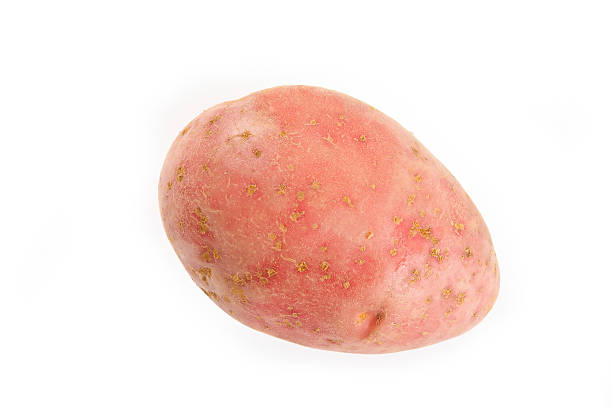 czerwony ziemniak - red potato raw potato isolated vegetable zdjęcia i obrazy z banku zdjęć