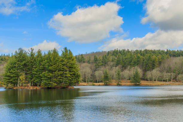 istock Mountain lake with small island 1046610592