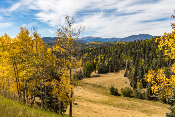 istock Golden landscape 1046613110