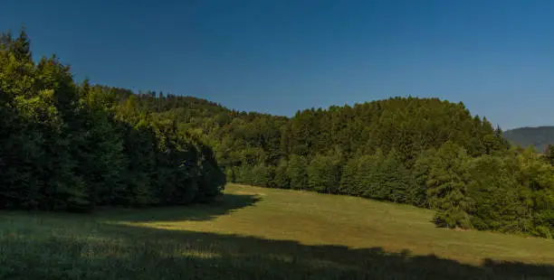 View from Ludvikovske pass with green forest and meadow