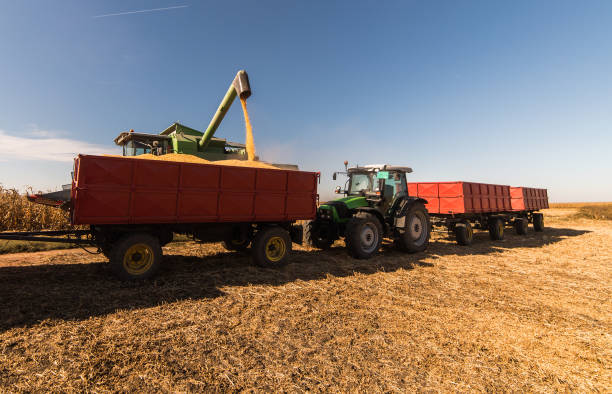 istock Pouring corn grain into tractor trailer after harvest at field 1046613666