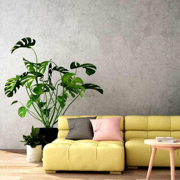 istock 3d rendering,3d illustration,interior design for living area or reception in modern style with sofa and armchair, table,plant on wood floor and concrete wall 1046616718