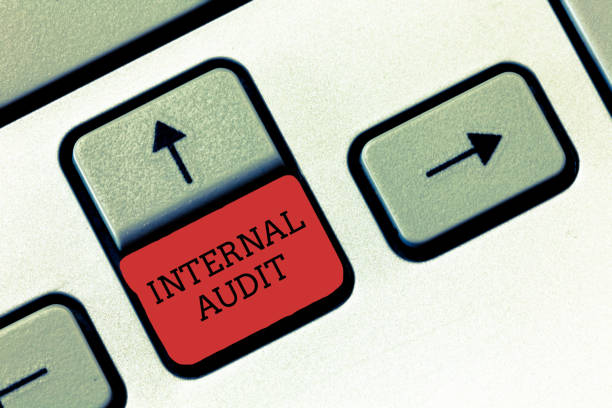 istock Conceptual hand writing showing Internal Audit. Business photo text Evaluates the effectiveness of the controls and processes 1046617632