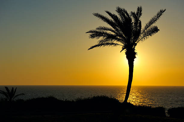 istock Sunset over the sea 104662272