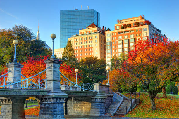 autunno a boston - boston massachusetts new england back bay foto e immagini stock