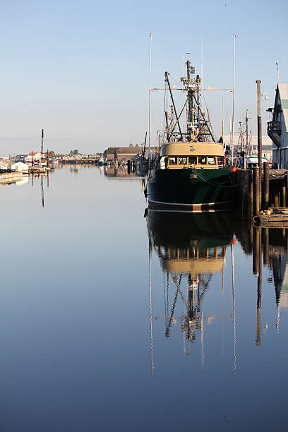 steveston harbor manhã - vertical color image vancouver sea - fotografias e filmes do acervo