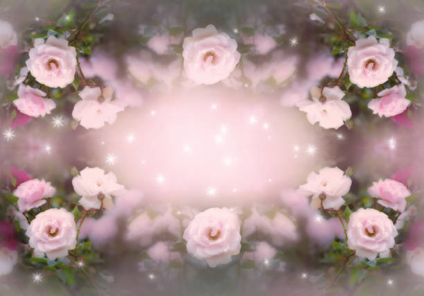 Mysterious spring floral background with blooming pink roses flowers