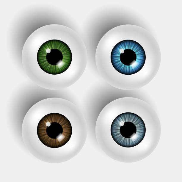 ilustraciones, imágenes clip art, dibujos animados e iconos de stock de conjunto de cuatro vectores 3d brillantes globos oculares con iris de colores sobre fondo blanco - globo ocular