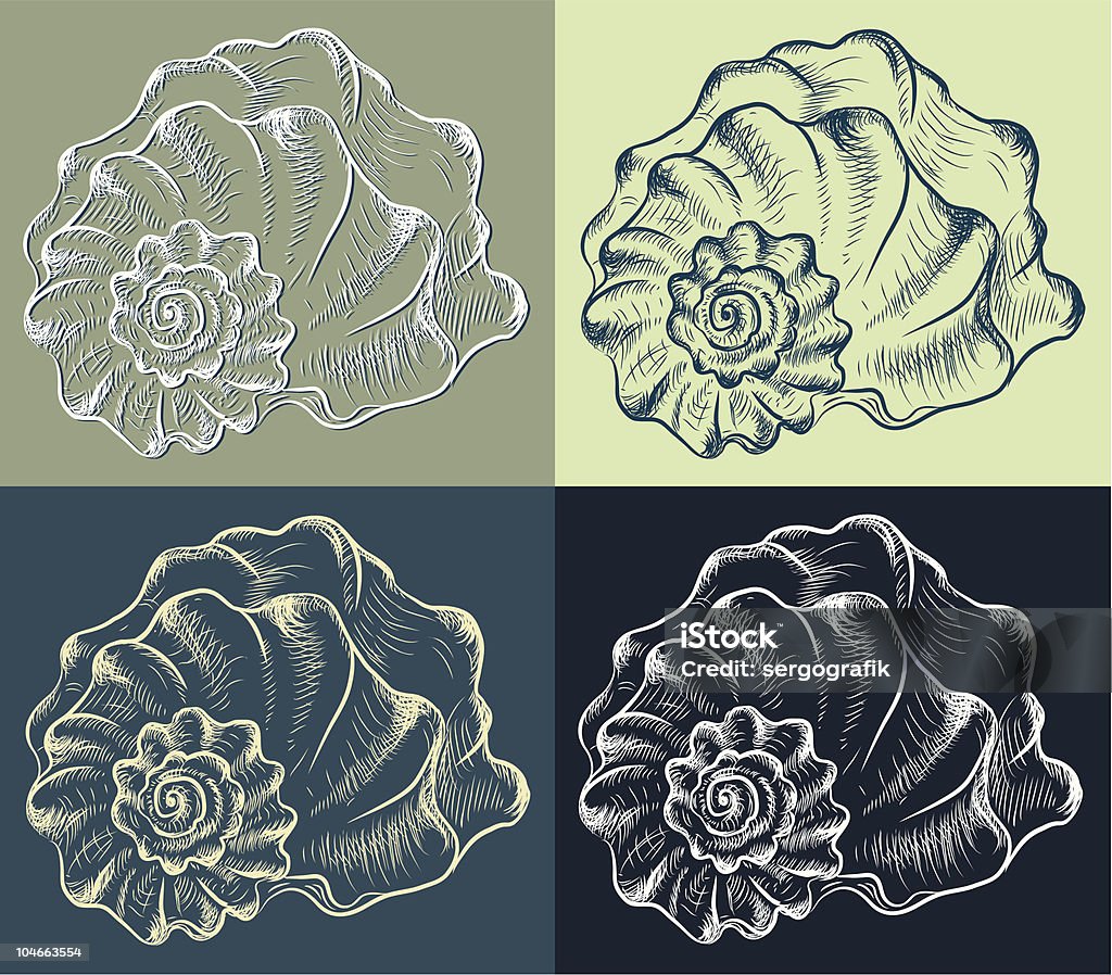 Cockleshell Print Cockleshell Stock Illustration - Download Image Now - Color Image ...