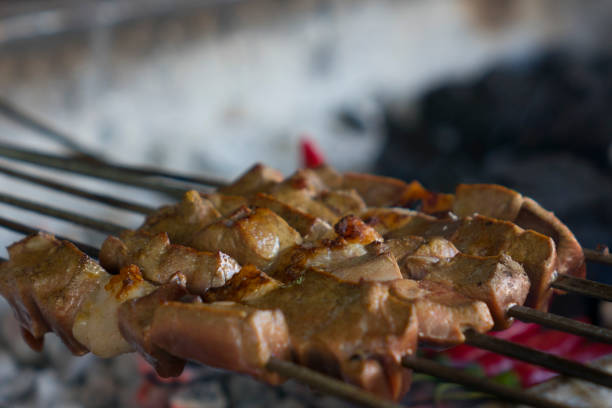 Adana, Middle East, Turkey - Middle East, Liver - Organ, Kebab