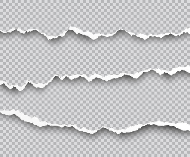 vektor-set zerrissenes papier kanten mit schatten auf transparenten hintergrund isoliert - bildeffekt stock-grafiken, -clipart, -cartoons und -symbole