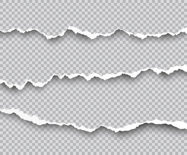 ilustraciones, imágenes clip art, dibujos animados e iconos de stock de conjunto de vectores de bordes de papel rasgado con sombras aislados sobre fondo transparente - photographic effects