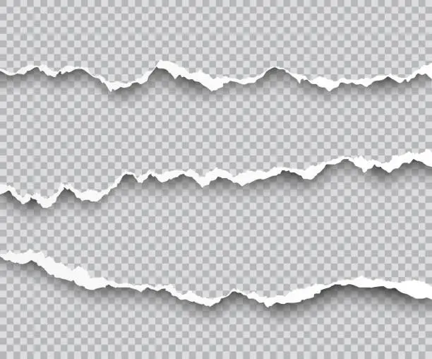 Vector illustration of Vector set of torn paper edges with shadows isolated on transparent background