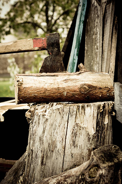 Cutting woods stock photo