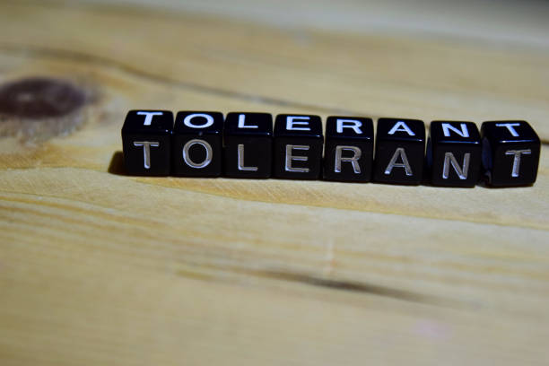 istock Tolerant written on wooden blocks 1046642880