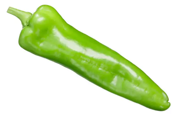 Giant green pepper (Capsicum annuum fruit), whole pod