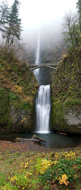 Wasserfall Multnomah Falls – Foto