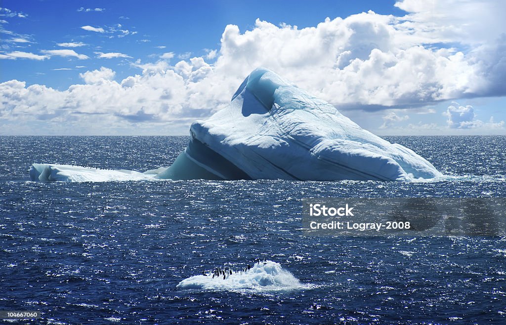 南極の氷の島に本物のグループのペンギン - アイスランドのロイヤリティフリーストックフォト