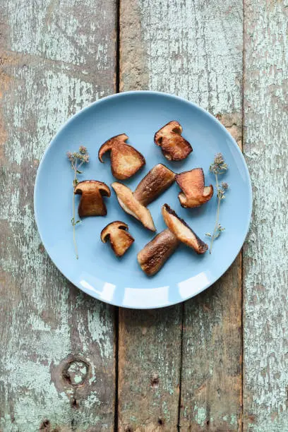 Healthy vegan snack. Fried porcini mushrooms (Boletus edulis) in blue plate on old shabby painted boards copyspace above view