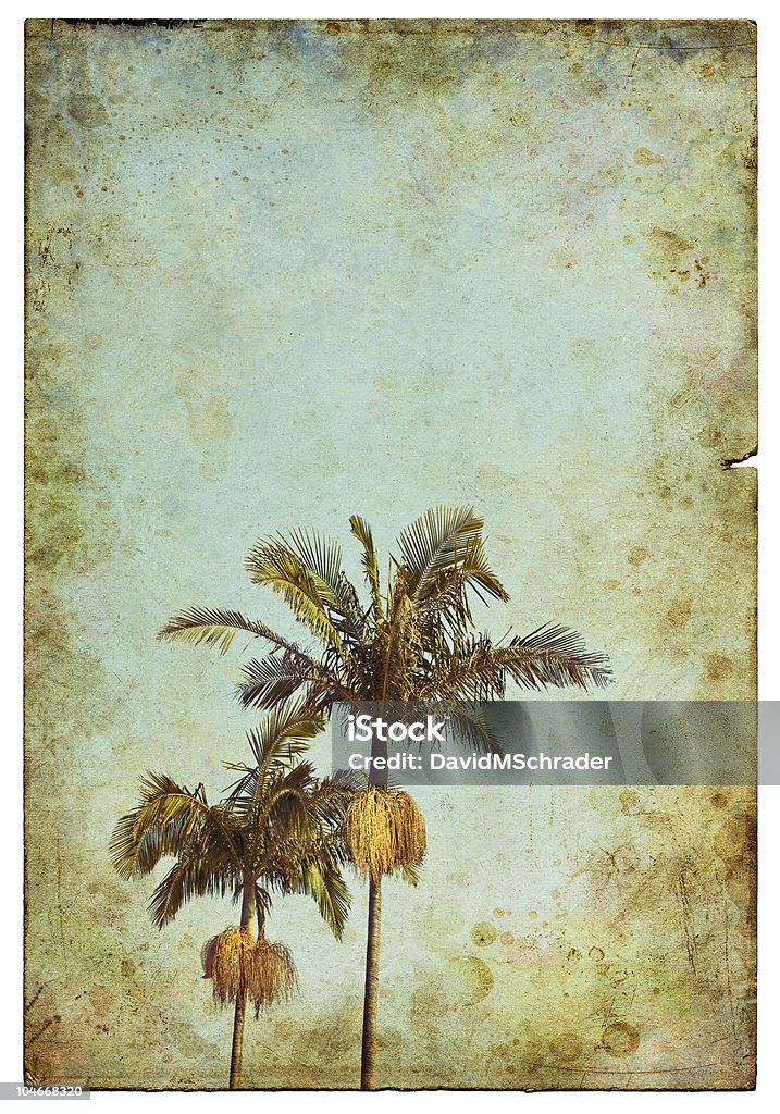 Vintage postal Palm - Foto de stock de Tarjeta postal libre de derechos
