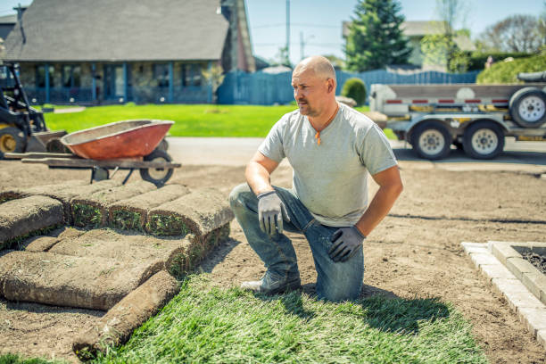 Adult man laying sod for new lawn stock photo