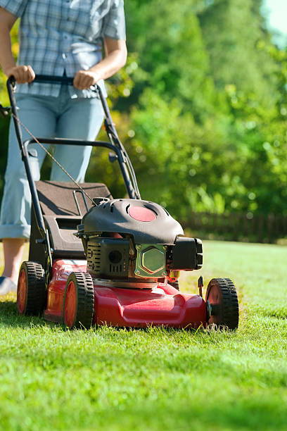 istock Woman mowing the grass in the summer 104669205