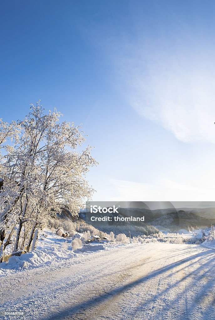 Vacances d'hiver&nbsp;! - Photo de Arbre libre de droits