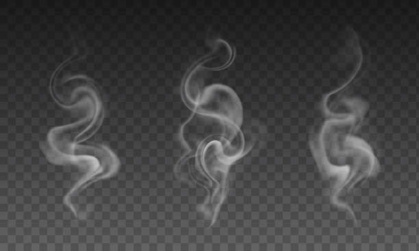 illustrazioni stock, clip art, cartoni animati e icone di tendenza di set vettoriale di effetti di fumo trasparenti realistici - fumo di sigaretta, caffè o vapore da tè caldo - smoke