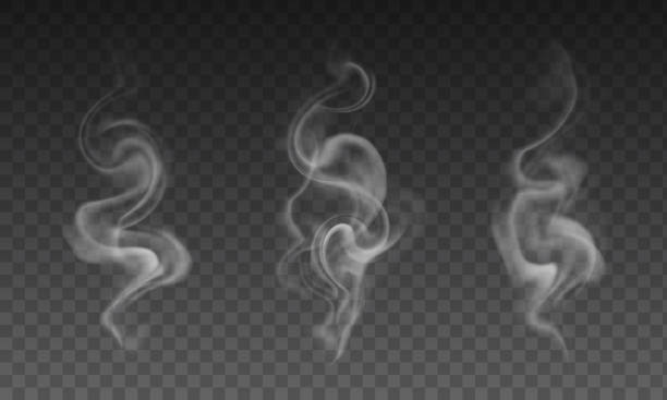 stockillustraties, clipart, cartoons en iconen met vector set van realistische transparante rook effecten - sigarettenrook, koffie of warme thee stoom - sigaret