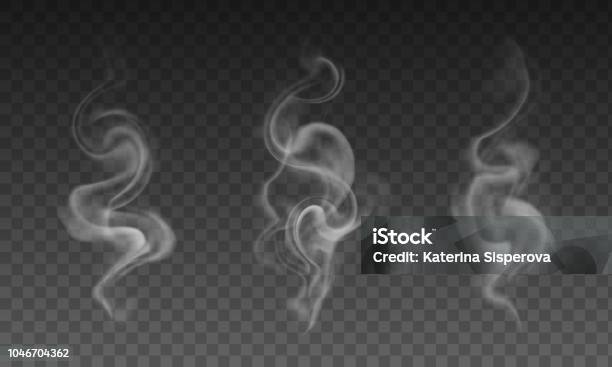 Vector Uppsättning Med Realistiska Genomskinlig Rök Effekter Cigarettrök Kaffe Eller Te Steam-vektorgrafik och fler bilder på Rök