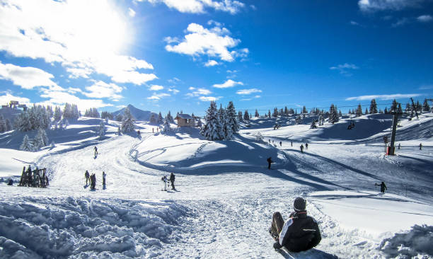 divertido día en la nieve - jungfrau, suiza - ice crystal winter nature ice fotografías e imágenes de stock