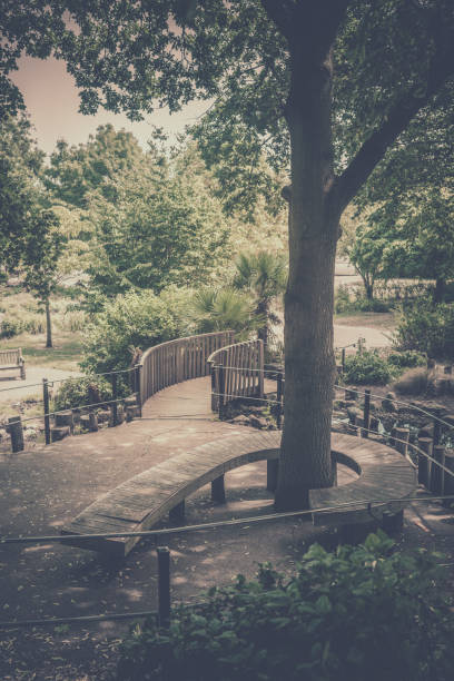 Twisted bench around a tree Twisted bench around a tree in a public park in Wimbledon, London wimbledon seats stock pictures, royalty-free photos & images