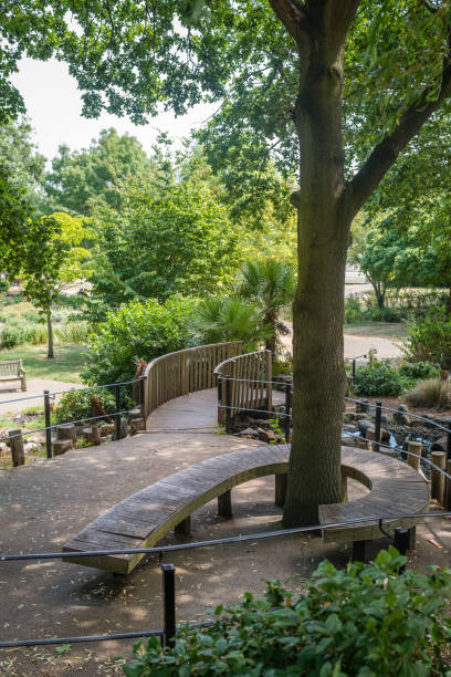 Twisted bench around a tree Twisted bench around a tree in a public park in Wimbledon, London wimbledon seats stock pictures, royalty-free photos & images