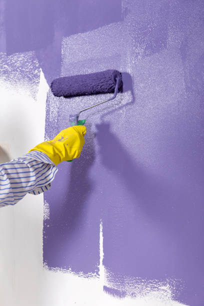 istock woman paints white wall and purple paint roller 1046725920