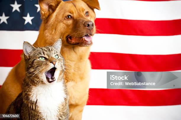 Gato Y Perro Con Nosotros Bandera Foto de stock y más banco de imágenes de Gato doméstico - Gato doméstico, Perro, Cuatro de julio